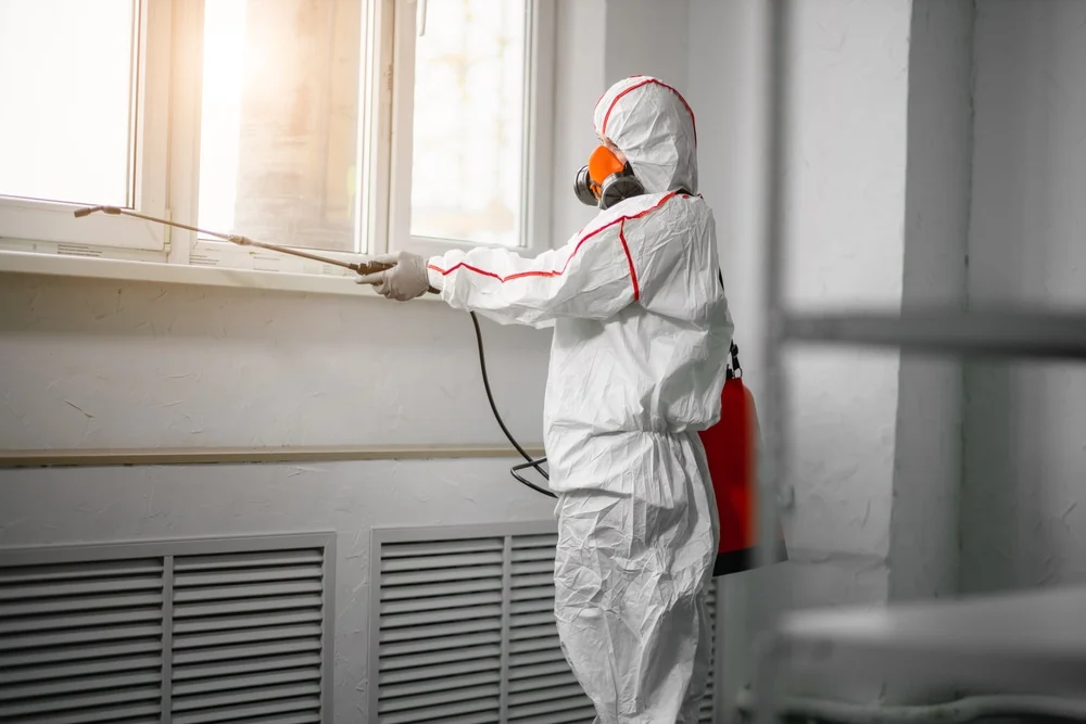 Professional mold remediation services in Summit, NJ